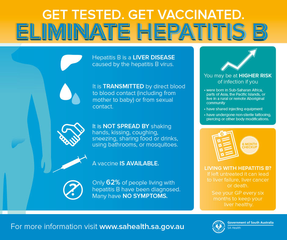 Hepatitis B Including Symptoms Treatment And Prevention SA Health