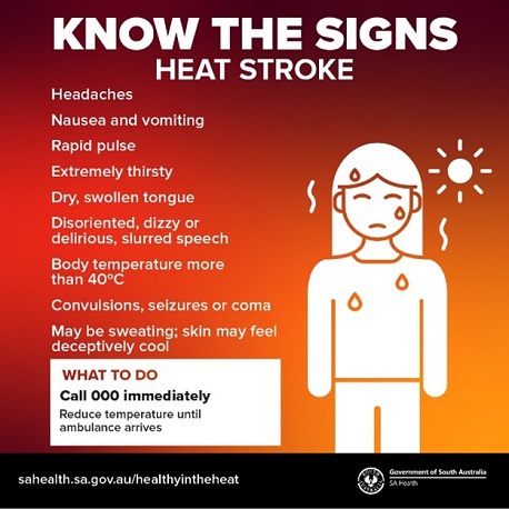 Heatstroke: Causes, Symptoms, Prevention, and Emergency Response