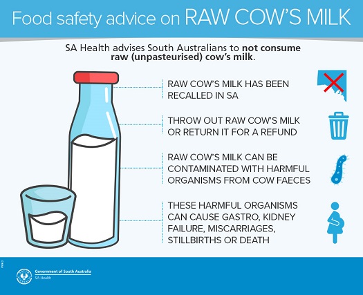 Milk - Pasteurised vs raw :: SA Health